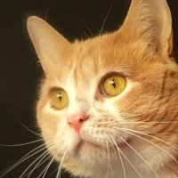 Jay_The_Man (@jay50613985) 's Twitter Profile