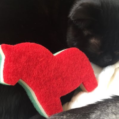 sfkz_no_hkdm's profile picture. 酒。競馬。初期V系。