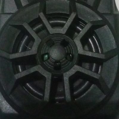 sayang