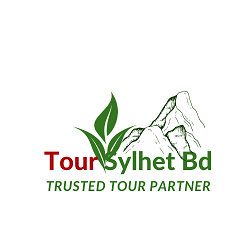 We provide all kinds of tour related information and services.