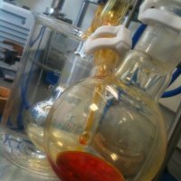Mansell Group Lab (@groupmansell) 's Twitter Profile Photo Mansell Group Lab (@groupmansell) 's Twitter Profile Photo