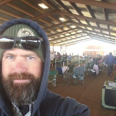 SeifertLabs's profile picture. 