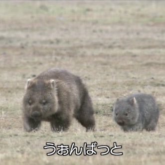 _ogyaaa_'s profile picture. 