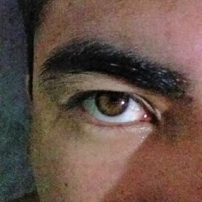 TRBenites's profile picture. ∆rchitect and polygraph at Maximus. Part time ∆stronaut.