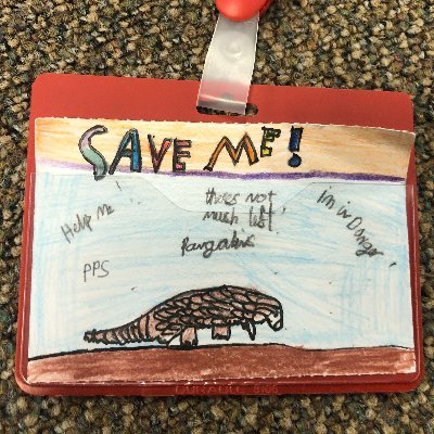 Y4PangolinSquad's profile picture. Y4 Sharrow School, Sheffield.
We want to protect pangolins because they are endangered.
They need our help, NOW!
Pangolin Protection Squad #PPS
Please join us!