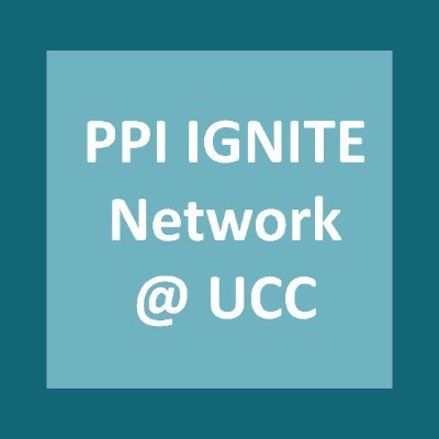 HRB, IRC and university funded. Building capacity for high quality Public and Patient Involvement (PPI) within UCC and amongst wider society.