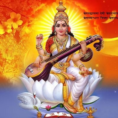 amolshelar3395's profile picture. 