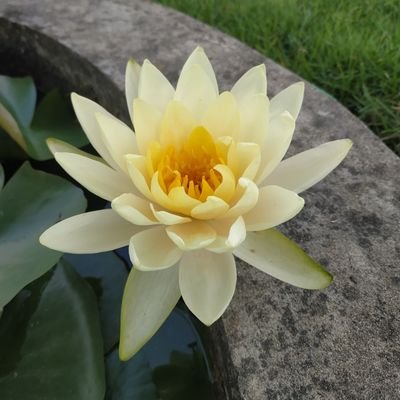 Veronica940218's profile picture. -minimalism-