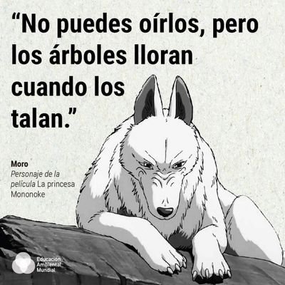 SOLDADO es aquel q se levanta en ARMAS y se va a la GUERRA en busca d la PAZ y la LIBERTAD d un pueblo, HEROE es aquel que baja sus ARMAS en completa LIBERTAD.