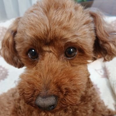 HpyrAYRVZMDCaIJ's profile picture. 