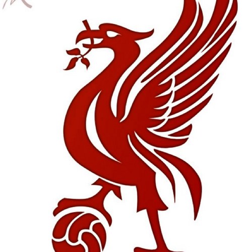 ScottyBor's profile picture. 