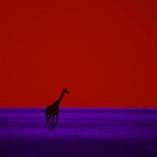 okariaska's profile picture. K드리퍼