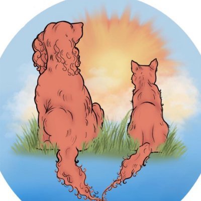 Hi everyone! 'New Beginnings' is a Welsh rescue dedicated to rescuing dogs from China's dog meat trade.

https://t.co/TlY0aILogP