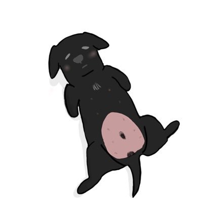 ズッキーニさんのプロフィール画像