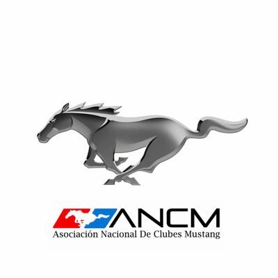 Asociación Nacional de Clubes Mustang A.C. busca unificar a toda la familia Mustang #ANCM @ANCM_MX ancm.mx1@gmail.com
#YoSoyKor2019