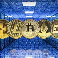 stockma49453566's profile picture. compra el rumor, vende la notícia