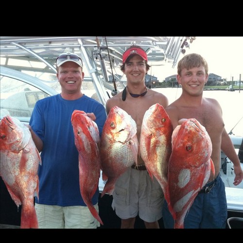 htaylorm's profile picture. 