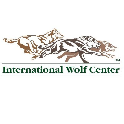 IntlWolfCenter Profile Picture