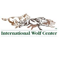 International Wolf Center (@intlwolfcenter) Twitter profile photo