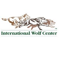 International Wolf Center(@IntlWolfCenter) 's Twitter Profile Photo