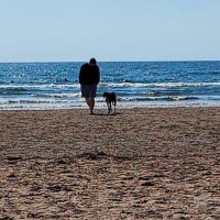 Andrew Leitch (@andyl1981) 's Twitter Profile