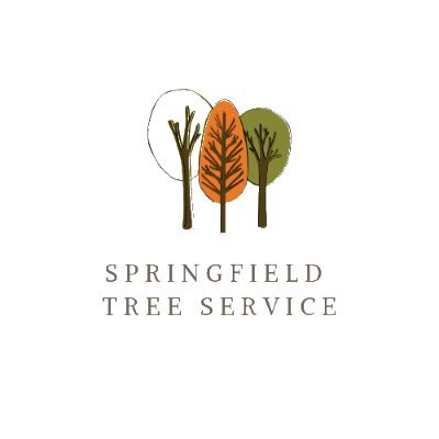 Springfield Tree Service is a top notch and professional tree service dedicated to all your tree removal needs. 2429 Westchester Blvd, Springfield, IL 62704