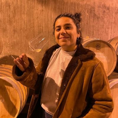 llibres i vins