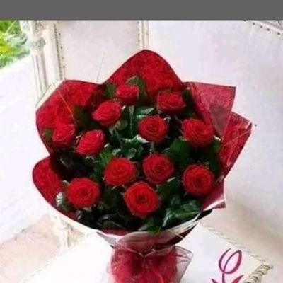 XNnx8Z3iMbGoll7's profile picture. 