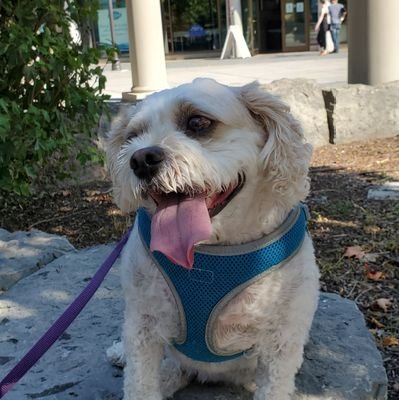 cychun87's profile picture. just trying to live my best life