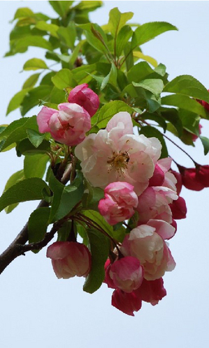 adpost66's profile picture. 새로운 시작!!