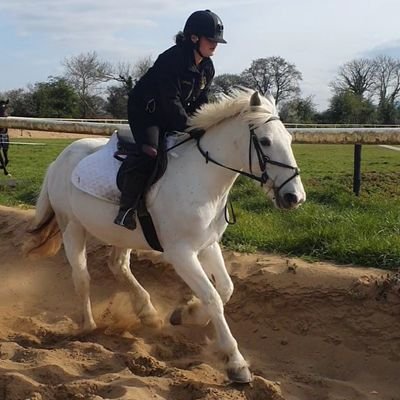 23👌 SRUC HNC Horse Care🐴 Maynooth Law 🎓 Autobot Lover 🤖