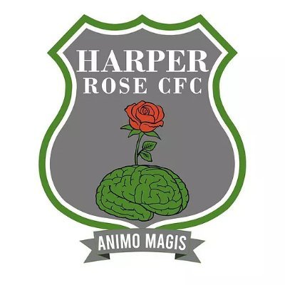 HarperRose CFC is a mental health football club. We want men to come together and open up without the fear of being stigmatised 💚 #mentalhealth #allforthebadge