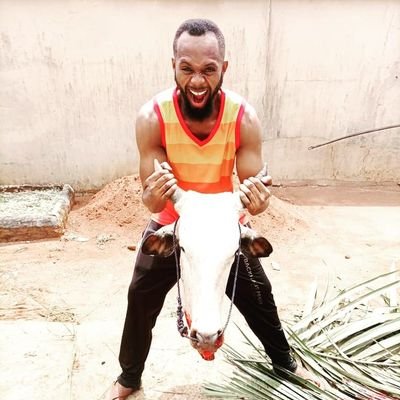 GoldLio05423321's profile picture. because am a LION