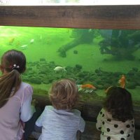 Iluminada Rodríguez (@iluminada_rp) 's Twitter Profile Photo