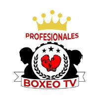 @ProfesionalesBoxeo(@ProfesionalesB2) 's Twitter Profile Photo