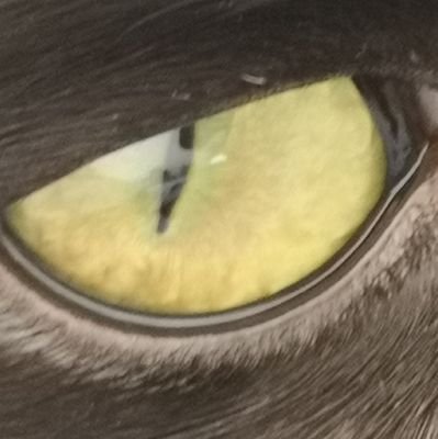 JnovVjno's profile picture. 😐
Radical feminist so deal with it