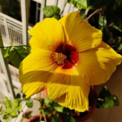 Nikzzyy26's profile picture. Live, Love & Laugh ! 
Nature Lover