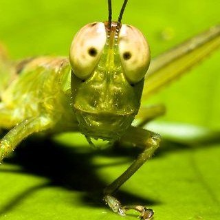 I am a Cricket in Canada.  I still use a mouse with Excel.  Canadian Energy vet: Equity Research and  E&P Management.  Not investment advice.