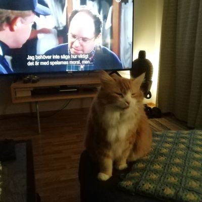 slurreburre's profile picture. En cyniker!