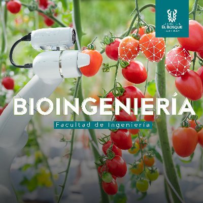 Programa de Bioingeniería
Universidad El Bosque
Bogotá, Colombia
https://t.co/zuocMiGhKn
https://t.co/QqE9b5mrEN