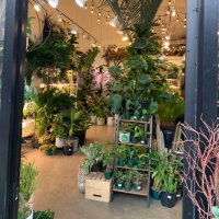 Lauren Elizabeth🤍 (@captainlaurlaur) 's Twitter Profile