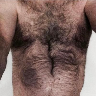 Adults Only 🔞 ⬇️ Dad for naked DL fun. Into younger, hairy chests, & good kissers. Turned on by ta3oo. Back on tele @lovehairychests no topic is off-limits