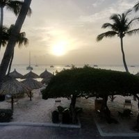 PatrickLeary36 (@patrickleary36) 's Twitter Profile