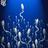 mo_coss's profile image