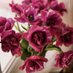 fedha (@fedhaalowaid) Twitter profile photo fedha (@fedhaalowaid) Twitter profile photo