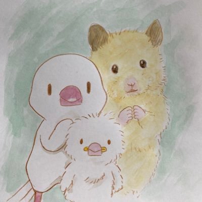 「ぶんこう」と読みます。文鳥とキンクマが大好きで文鳥をメインにイラストを描いています。他にもハンドメイドでグッズも作っています。ことのわ@kotonowa2016 さんにて委託販売させて頂いてます。