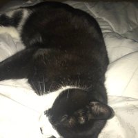 Cooper Gage (@coopergage5) 's Twitter Profile