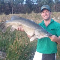 Shayne Halfpenny (@halfpennyshayne) 's Twitter Profile