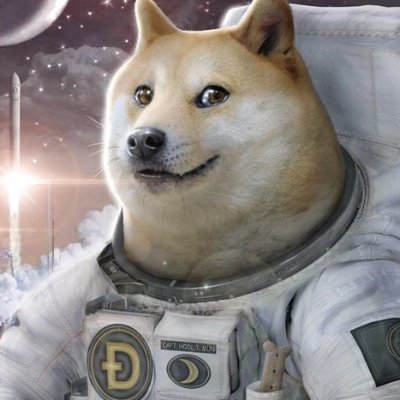 Veteran of the #dogecoinarmy
No violence | No hate