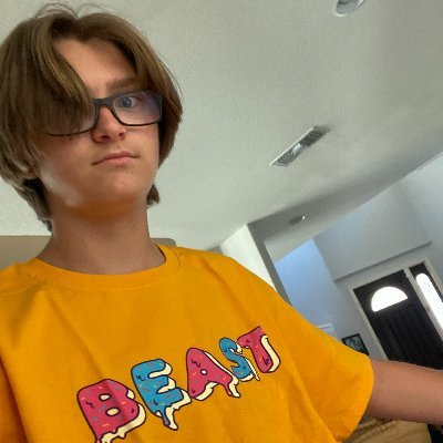 Hello! I'm an aspiring Twitch streamer and Youtuber who REALLY likes Minecraft! My favorite ytbrs are Mr Beast and Karl. He/Him Pog, anyway, GOODBYE.